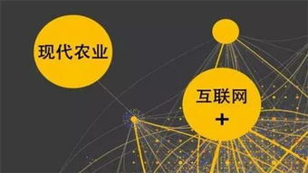 大數據與互聯網信息服務 鄉村振興的新引擎